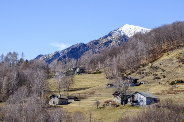 An sonnigen Hängen im Centovalli