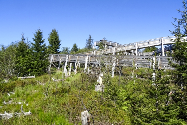 Sentier d’altitude dans la région du Gantrisch