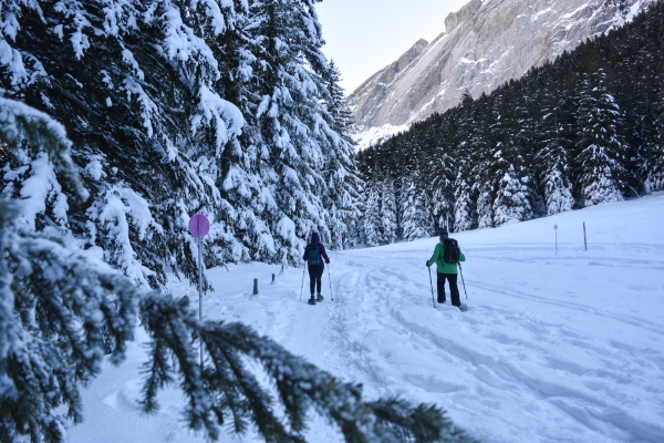 Sur l’alpage enneigé de Solalex