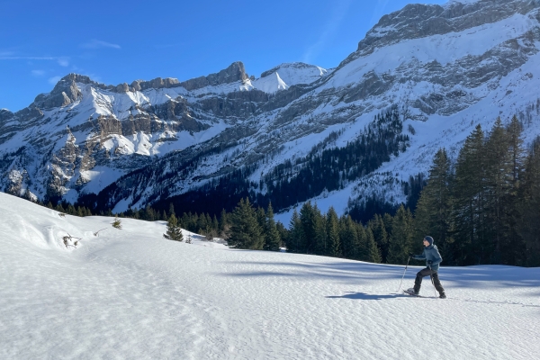 Winteridylle am Col du Pillon