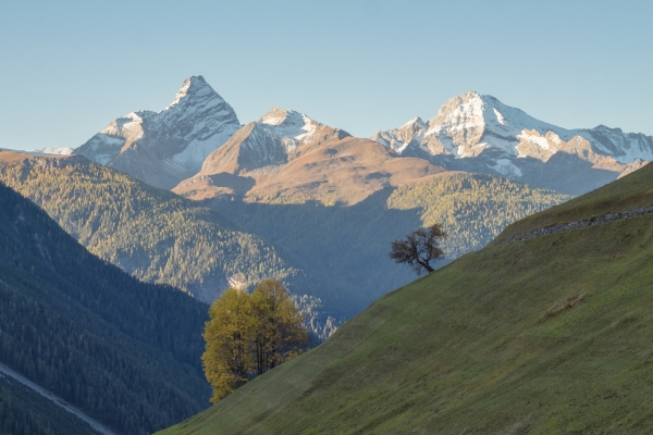 Aussichtstour auf die Wiesner Alp