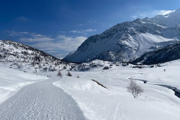 Kurzwanderung auf dem Simplonpass