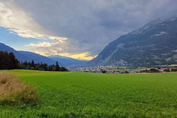 Angebot Krebsliga Graubünden: Abendwanderung durch die Witenen zum Fürstenwald