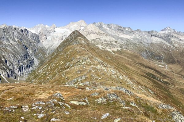 Suone und Panorama am Foggenhorn