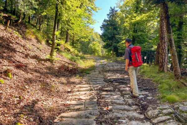 Nach Neuchâtel verschleppter Findling