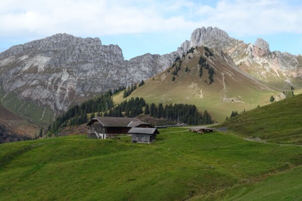 Sur les hauteurs du Saanenland