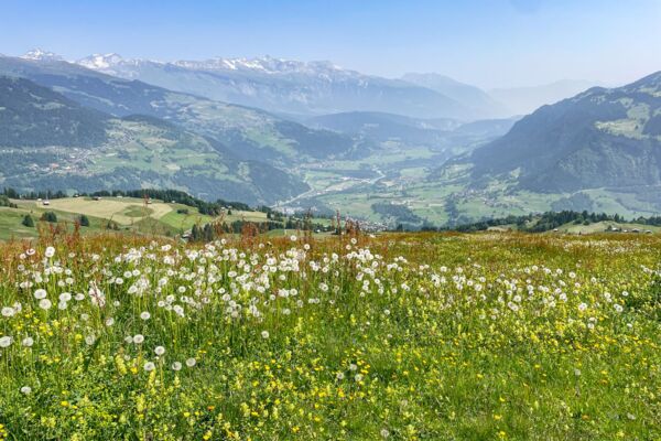 Eine tolle Aussicht von der Bündner Rigi aus