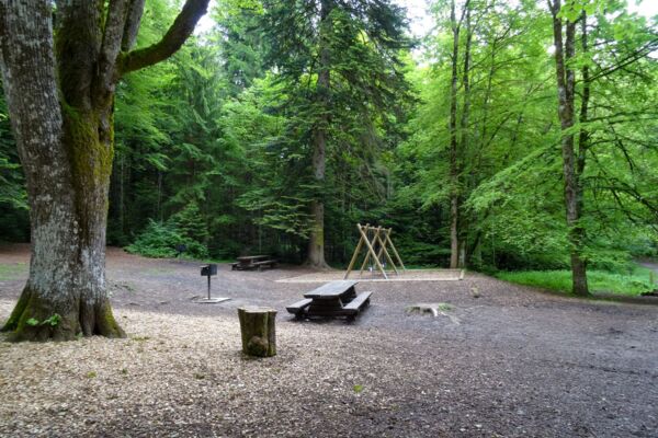 Lungo la Sarina e circondati dalle Prealpi friburghesi
