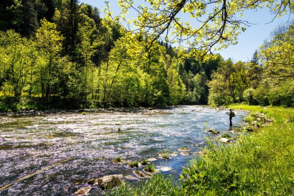 Frühlingswanderung durch Moränenlandschaft