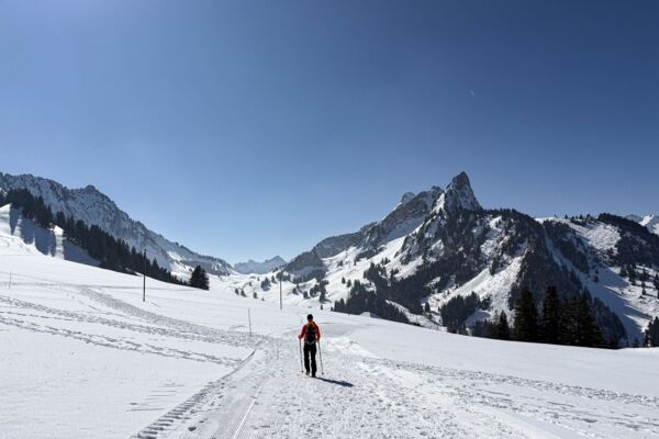 Kurze Rundtour für Sonnenhungrige