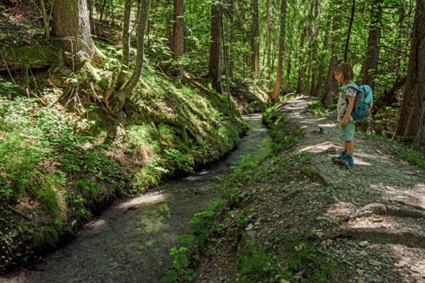 Vier verschiedene Welten an der Grand Bisse de Lens