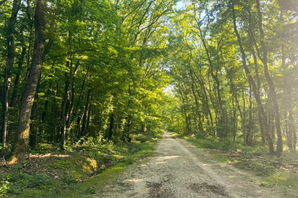 Spazierwanderung zwischen Natur und Stadt