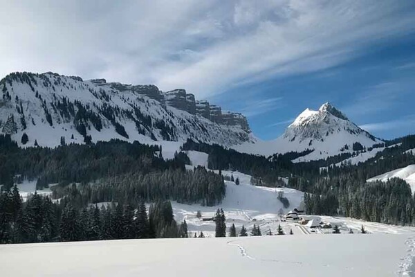 Schneeschuhwandern im Eriz