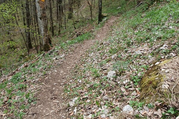 Villiers, Montagne de Chézard, de Cernier, gare des Hauts-Geneveys