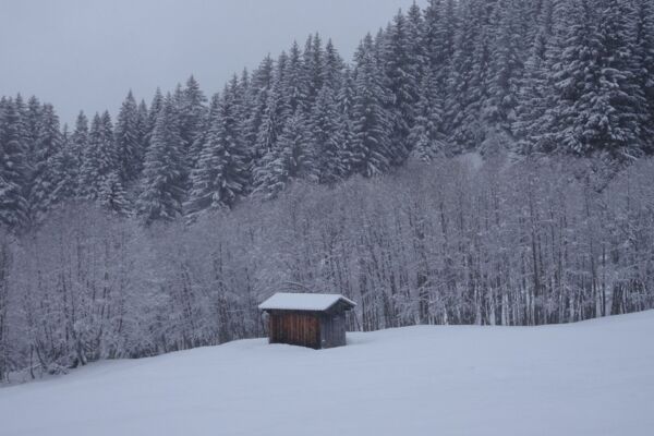 Schneeschuhwanderung zur Walenalp
