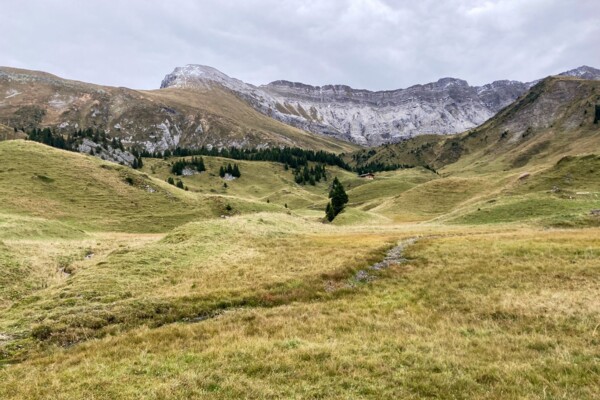 Traces glaciaires sur l’Elsigenalp