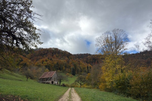 Über die Krete des Fringelibergs