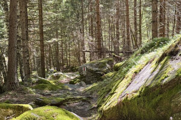 Unterwegs im wildromantischen Valle di Campo