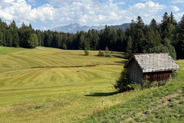 Halbtageswanderung: Ein gemütliches Bergrennen vom Hemberg nach Krummenau