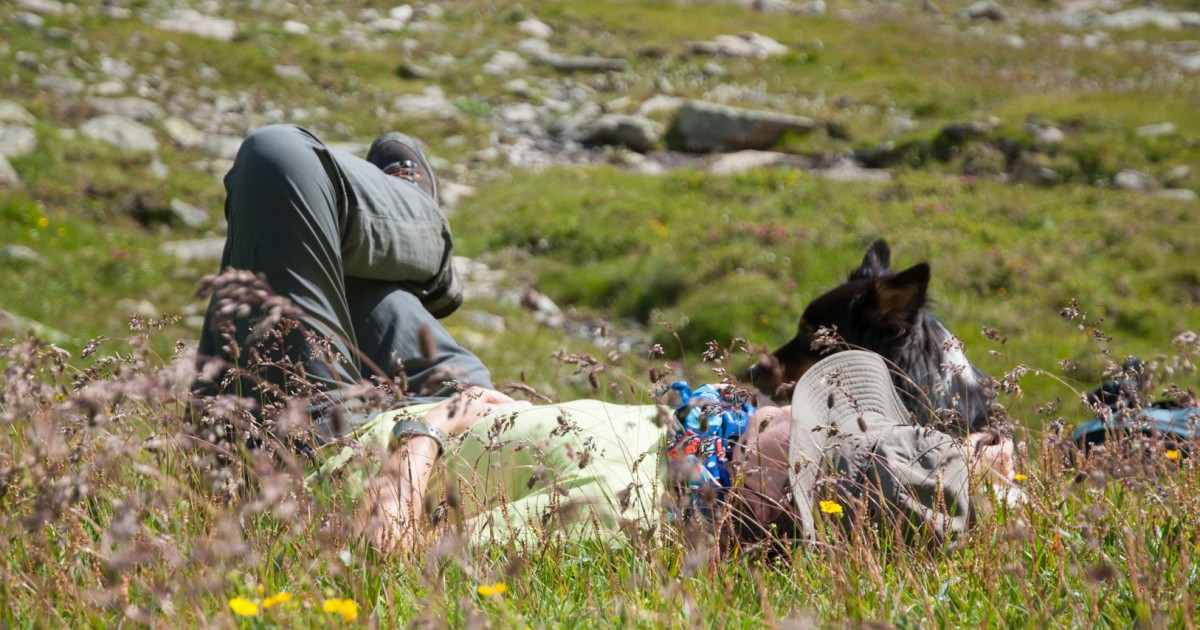 www.schweizer-wanderwege.ch