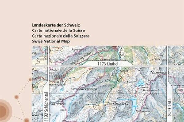1193 Tödi