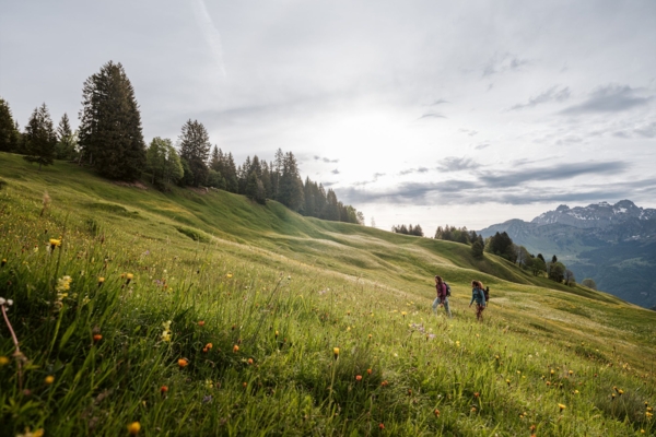SWW_Spring_2024_0530