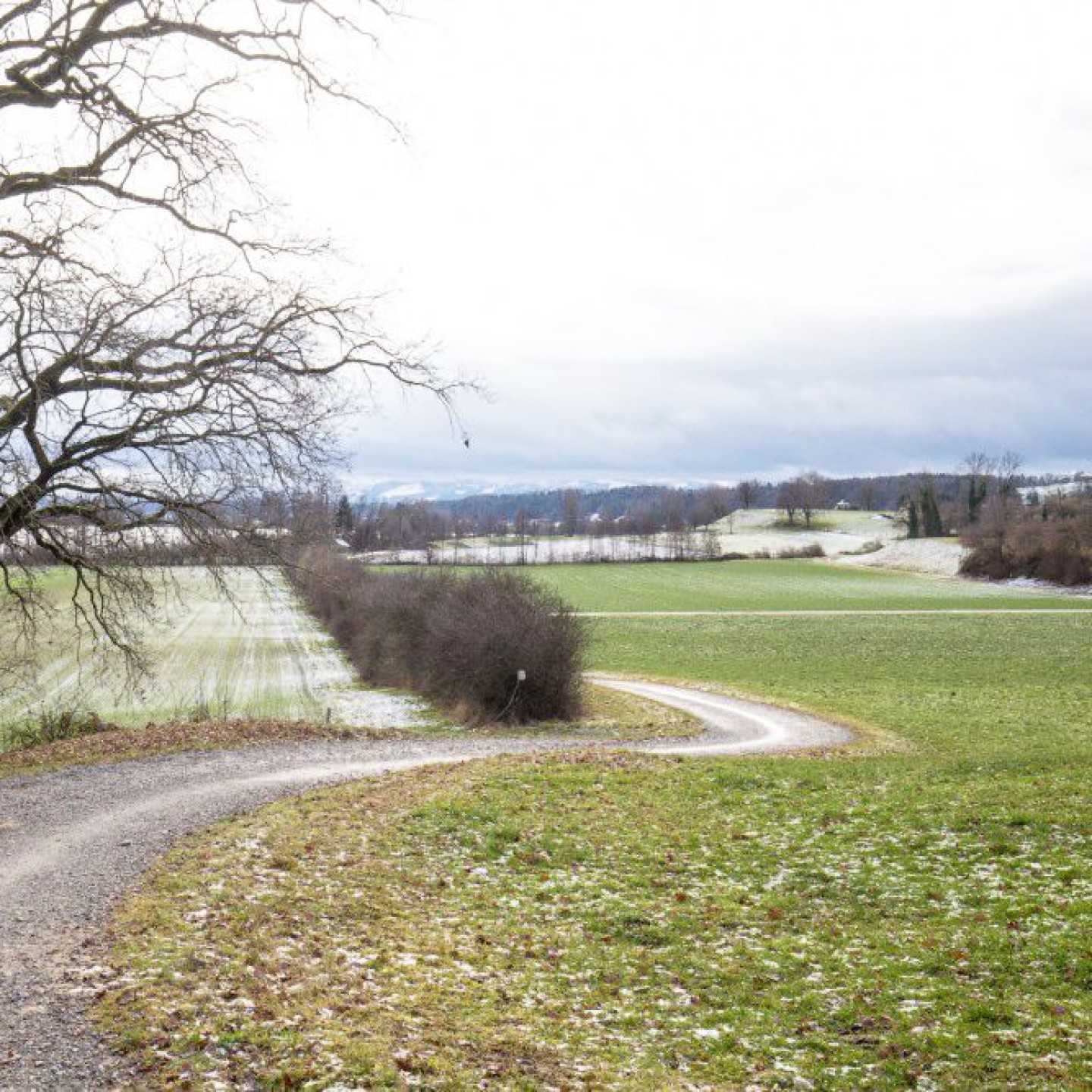 Schweizer Wanderwege Schweizer Wanderwege schweizer-wanderwege-schweizer-wanderwege