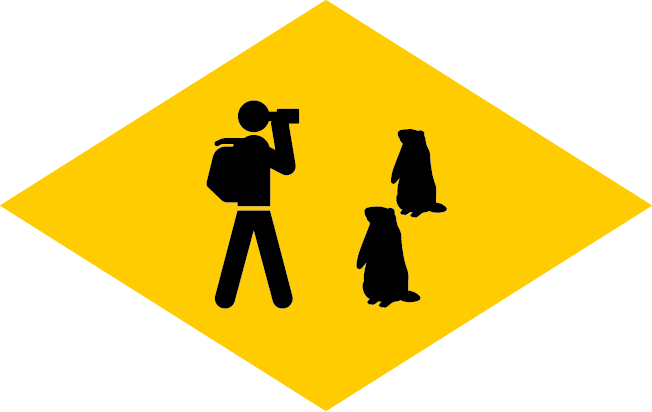 Losange «Marmottes»