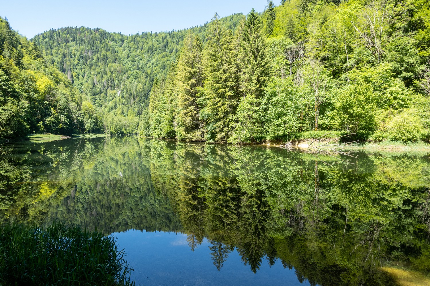 Bei Chez Bonaparte spiegeln sich Wälder im Doubs wie in einem stillen See.