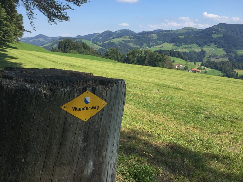 Aussicht ins hübsche Zürcher Oberland. Foto: Vera In-Albon