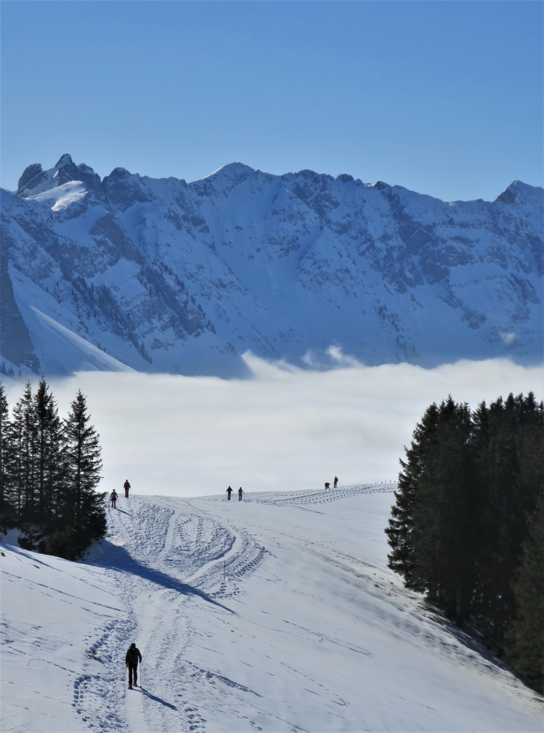 Zwischen Langälpli und Kronberg. Bild: Andreas Staeger