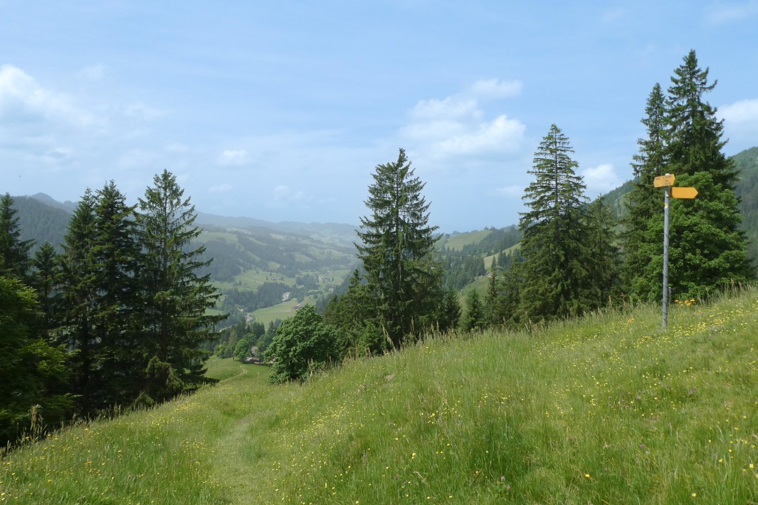 Abstieg zum Bödeli mit Blick talauswärts. Bild: Tatjana Häuselmann