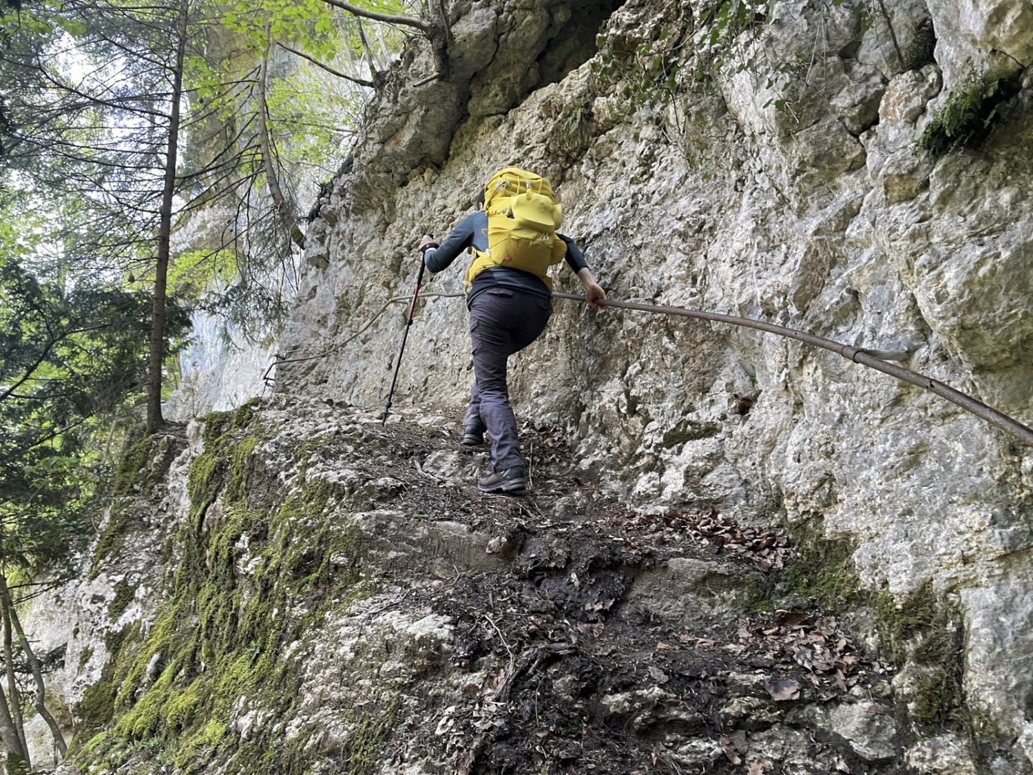 Des mains courantes bien utiles sur le chemin de randonnée de montagne en direction d’Orbe.Photo: Rémy Kappeler