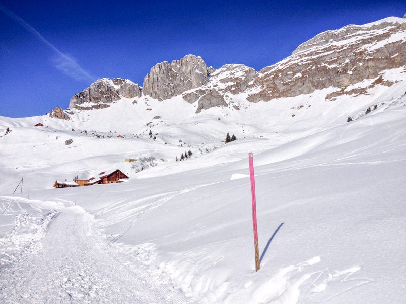 Der Winterwanderweg ist auf der ganzen Strecke mit pinken Pfosten gut markiert. Bild: Claudia Peter
