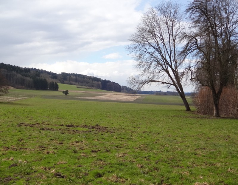 Ein Stück Thurgauer Landschaft bei Lustdorf.