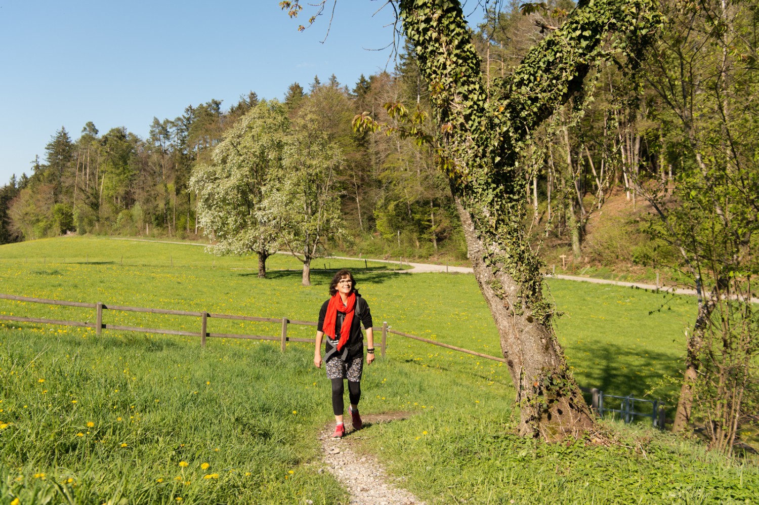 Lieblicher Wanderabschnitt bei Friedberg. Bild: Raja Läubli