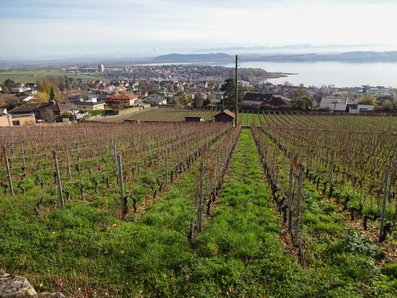 Die Aussicht reicht bis nach Saint-Blaise und auf die Weinberge. Bild: Miroslaw Halaba