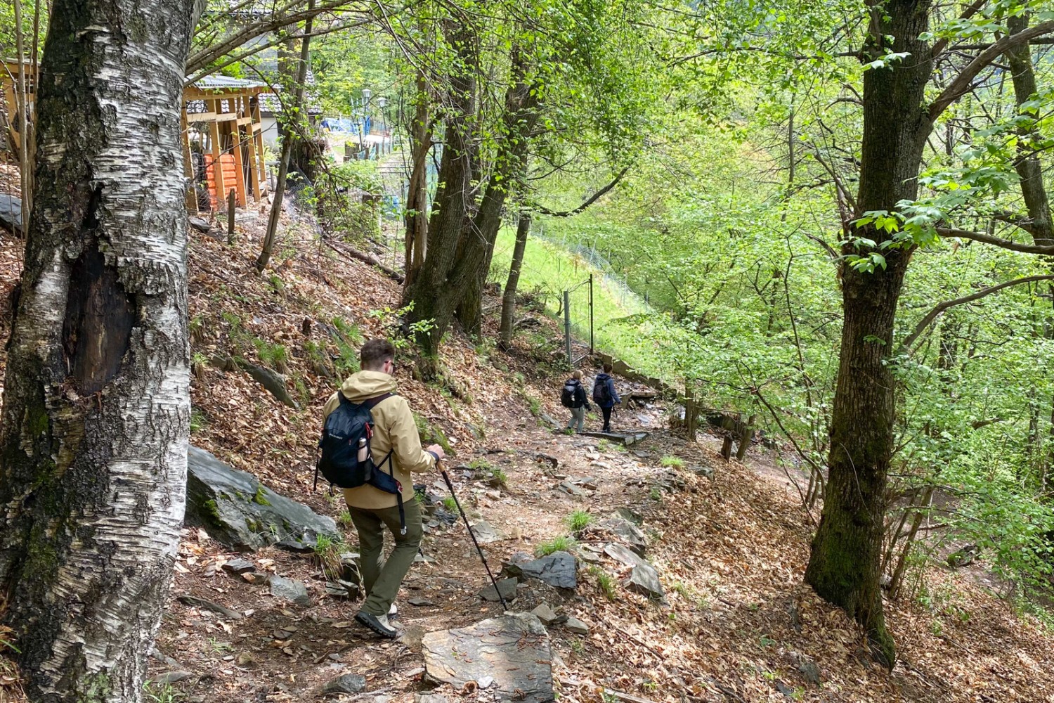 Discesa da Paudo a Pianezzo. Camminare è più bello che mai lungo stretti sentieri. Foto: Loïc von Matt