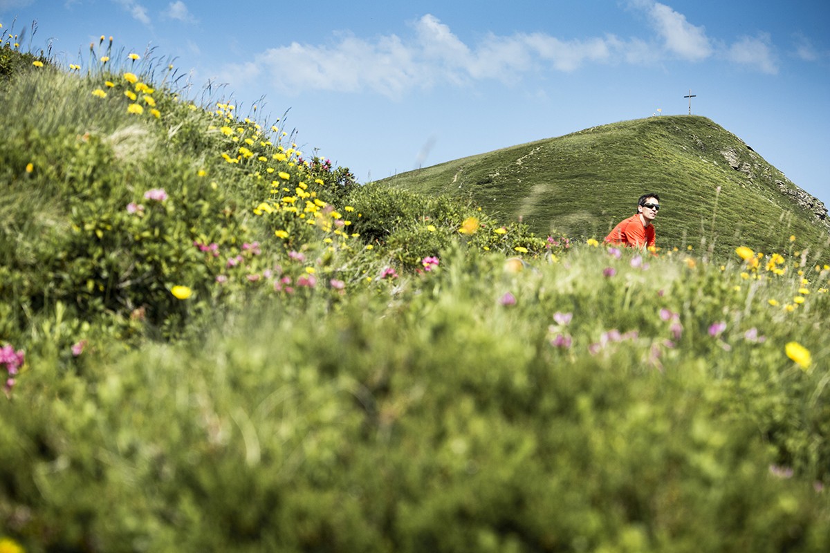 Der Weg auf den Gibel ist blumenreich. Oben auf dem Gipfel lockt der Panoramablick aufs Berner Oberland. Bilder: Severin Novacki