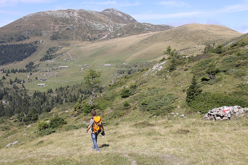 Wandern mit Blick aufs Elsighorn.