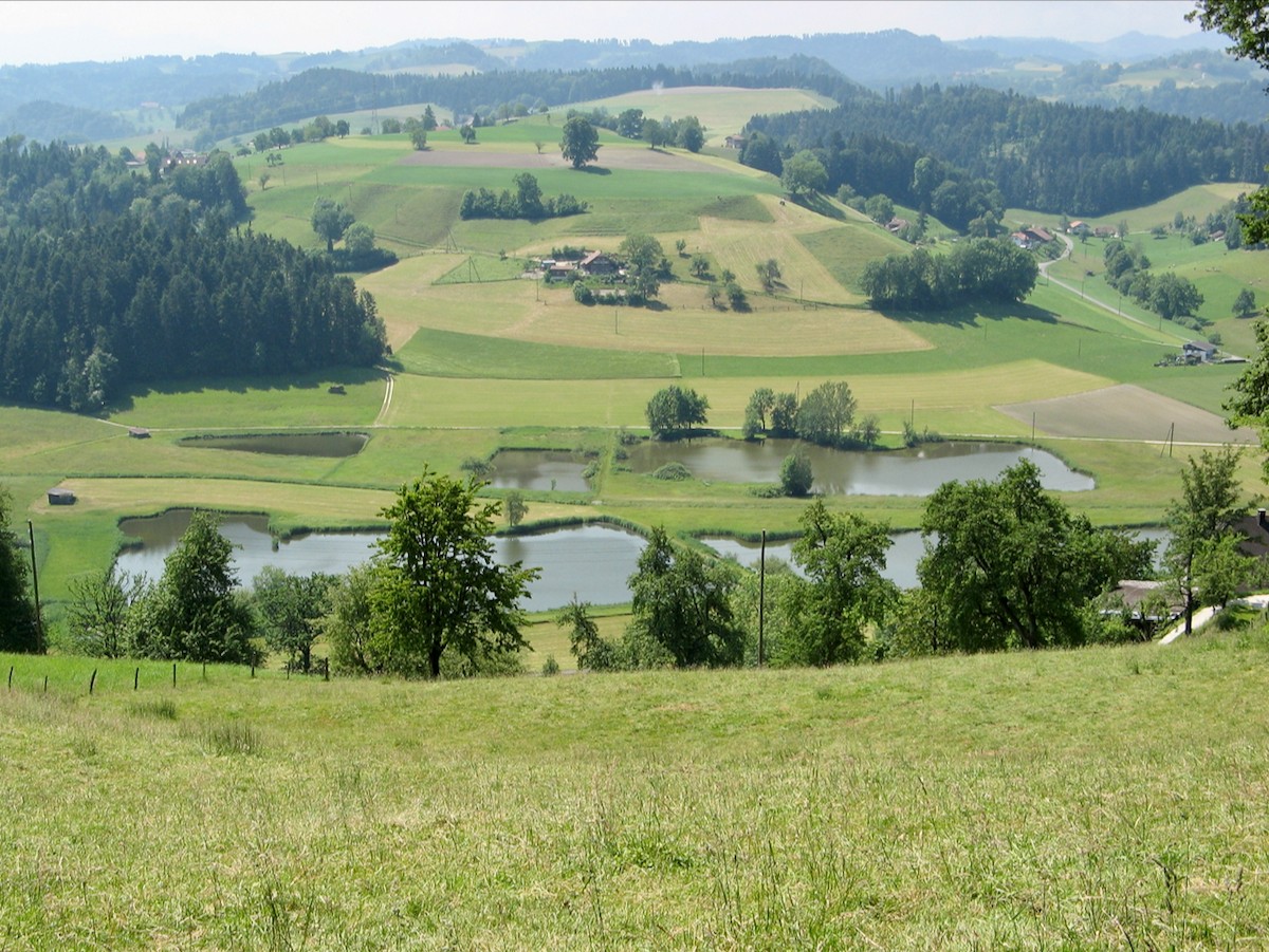 Foto: lawa, Kt. Luzern