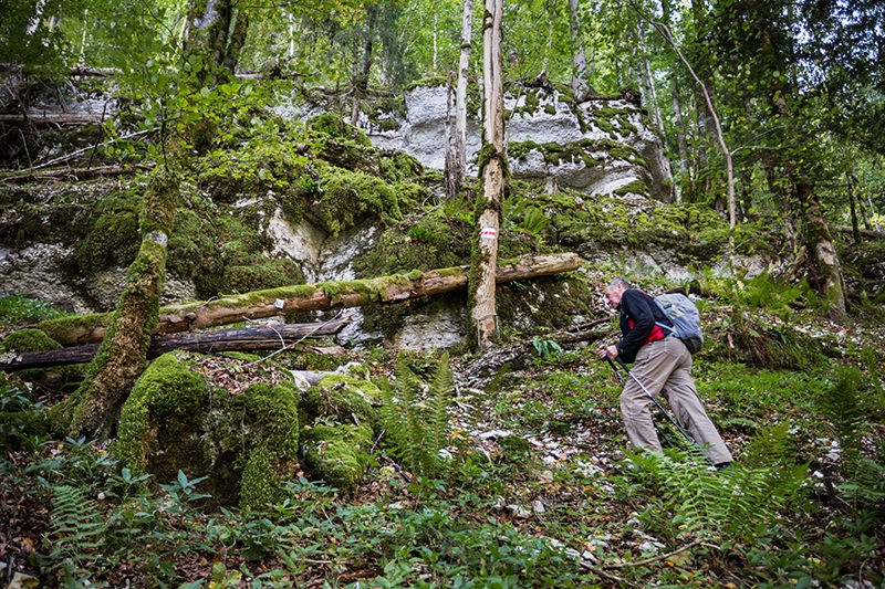 Der einzige Bergwanderweg des Kantons Jura ist besonders nach Regen vorsichtig zu begehen. Bilder: Severin Nowacki