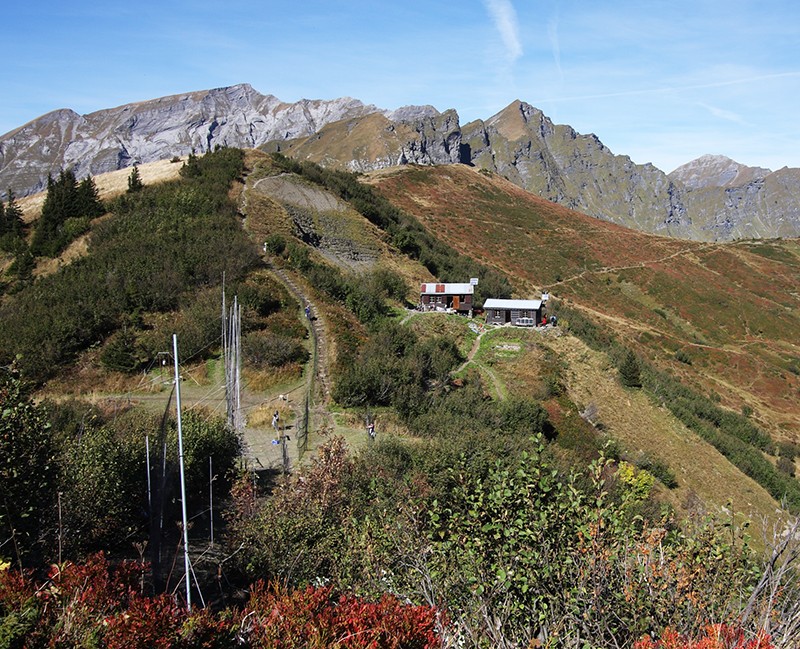 Die Vogelberingungsstation liegt auf dem Col de Bretolet auf gut 2000 m.ü.M. Bild: Marco Thoma