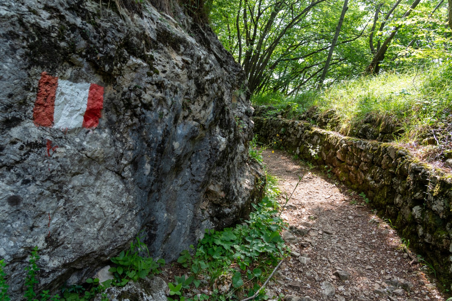Italienische Schützengräben auf dem Monte Pravello, an der Grenze zur Schweiz, der hier Poncione d’Arzo heisst.