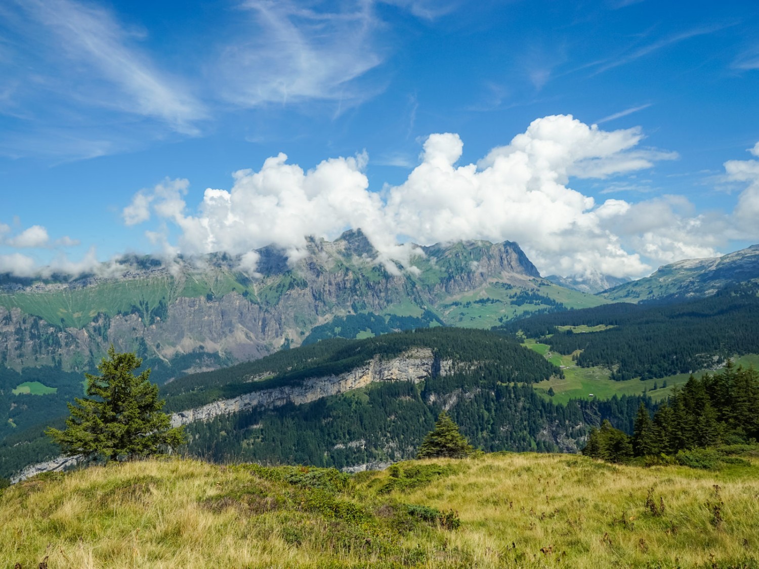 Nicht mehr weit von der Alp Hinderist Hütte entfernt blickt man zur Silberen, zum Pragelpass (Mitte) und links zur Bergkette, hinter der der Hoch-Ybrig liegt.  Bild: Fredy Joss