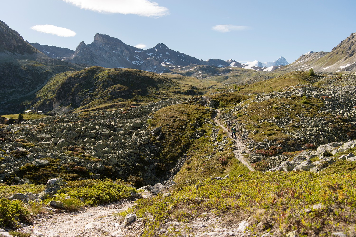 Das Plateau zwischen dem Hôtel Weisshorn und dem Toûno ist von einer üppigen Vegetation überzogen.