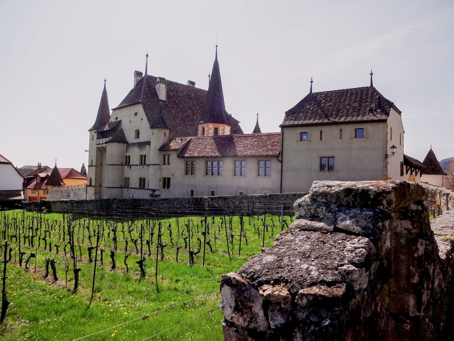 Das um 1610 erbaute Schloss Cressier ist von Weinreben umgeben. Bild: Miroslaw Halaba