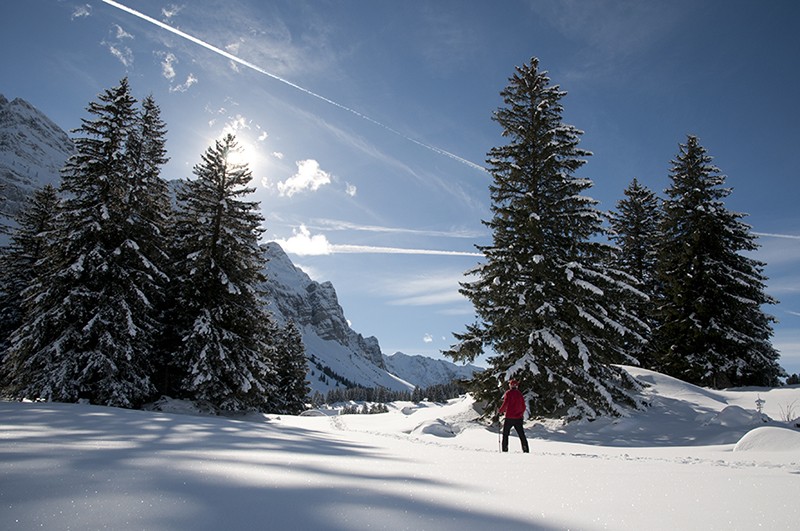 Gemütlich, aber auch anspruchsvoll ist der Weg zwischen Schwägalp und Kronberg. Bilder: Heinz Staffelbach