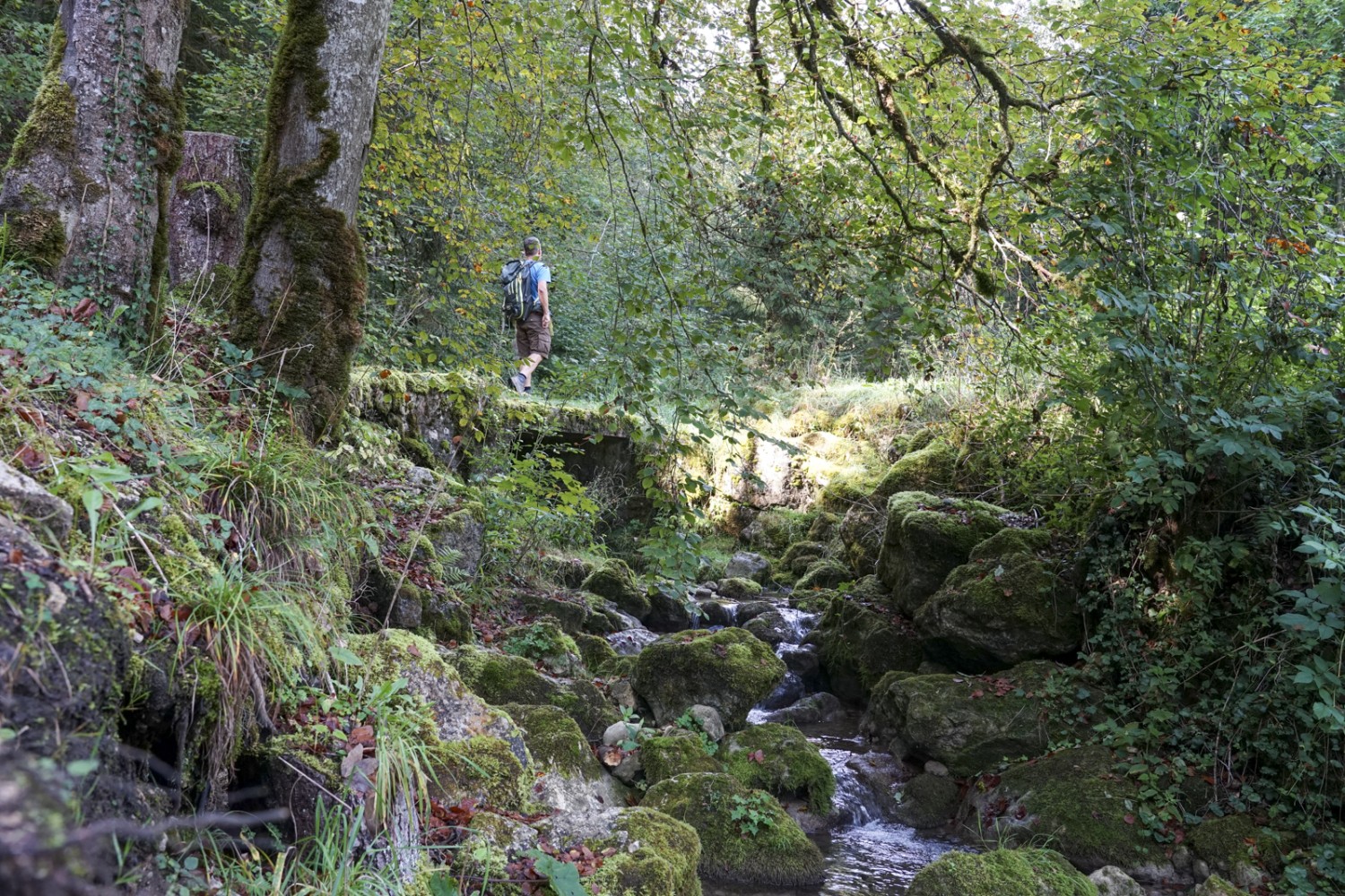 D’abord tranquille et plat, le chemin de randonnée s’enfonce toujours plus profondément dans les gorges. Photo : Reto Wissmann
