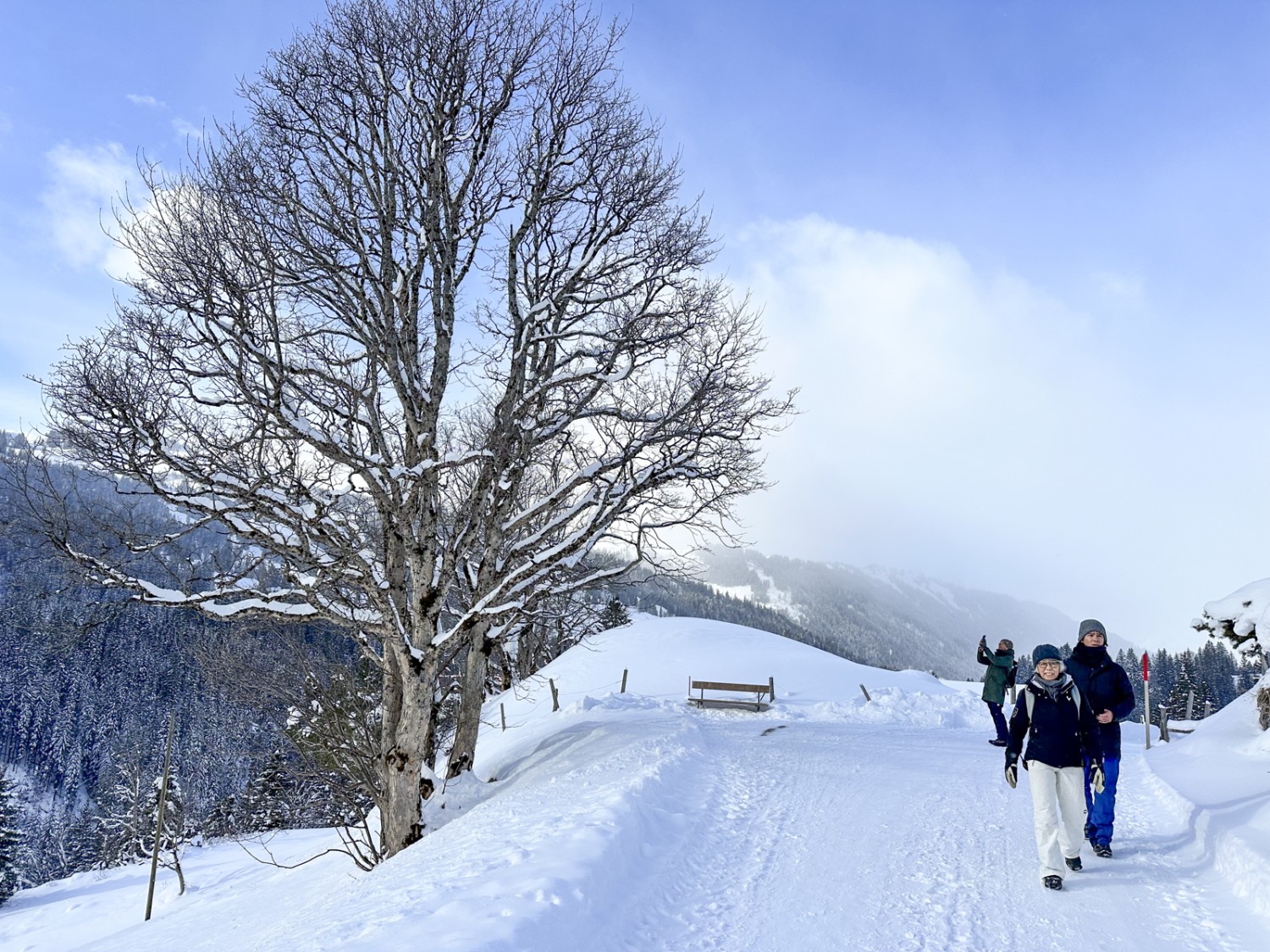 Winteridylle bei Gstaad